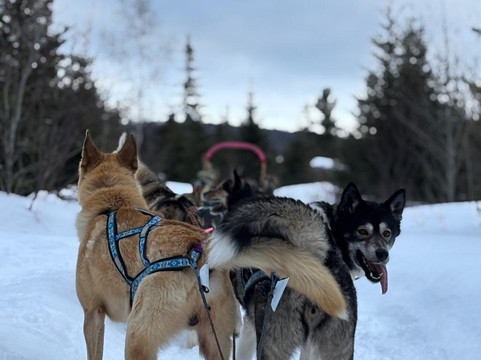 Bosco Charlevoix-Saint-Simeon必去景点