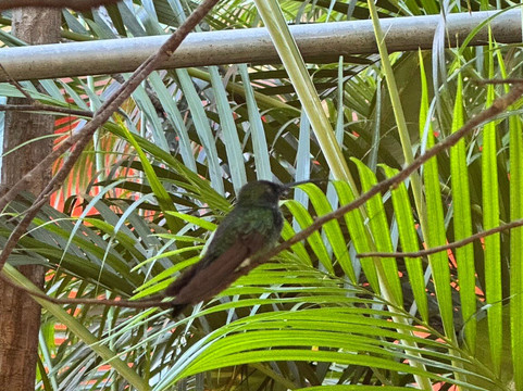 Posada Casa Riqui Riqui主图