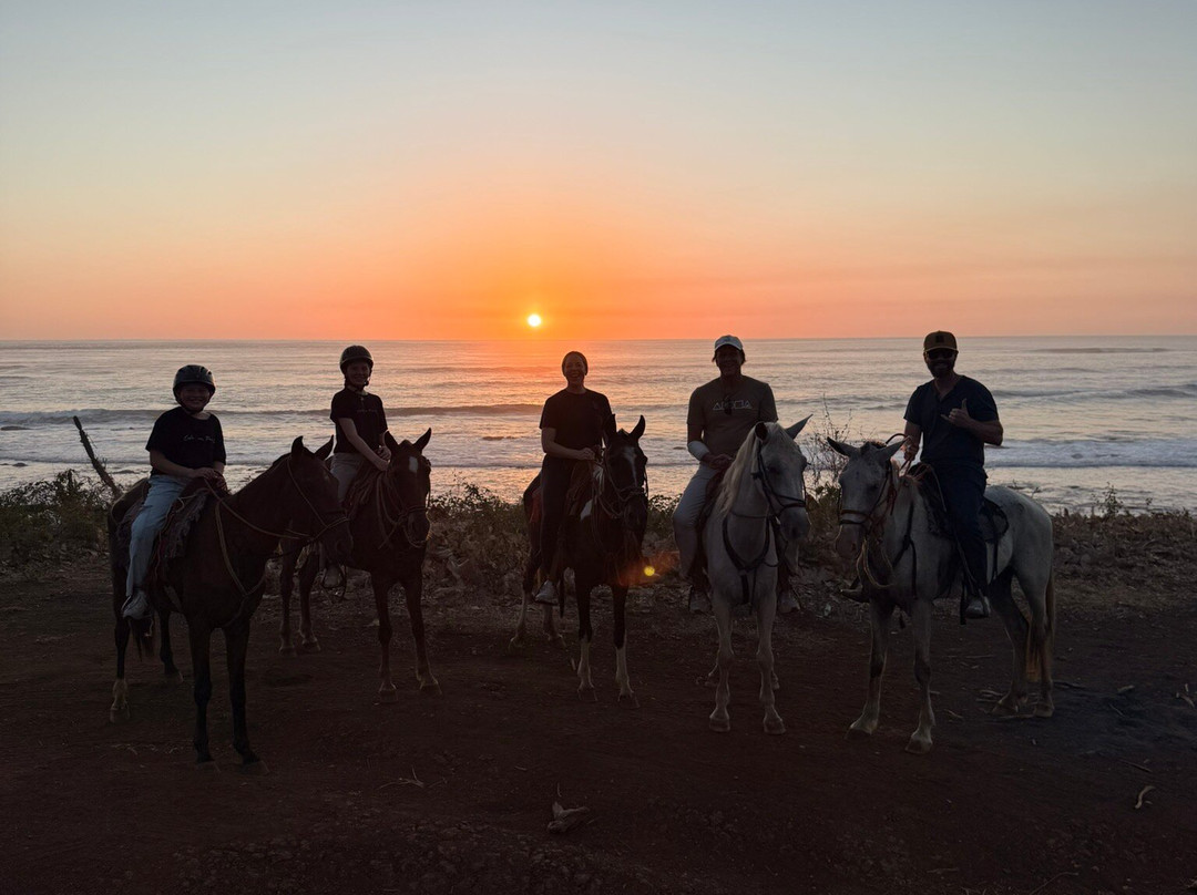 Guti Tours-Playa Avellanas必去景点