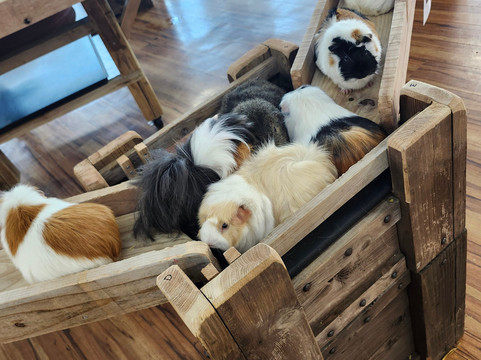 东南植物乐园-冲绳市必去景点