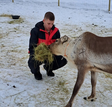 Northern Lights Park-罗瓦涅米必去景点