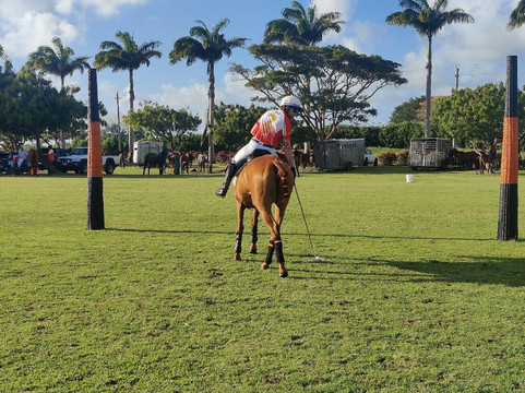 Barbados Polo Club-圣詹姆斯必去景点