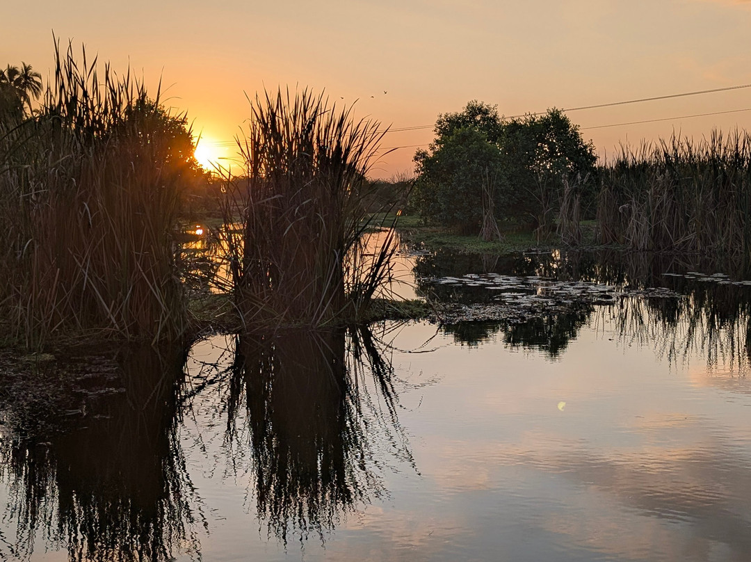 Kalametiya Bird Watching & Ecotourism-Kalametiya必去景点