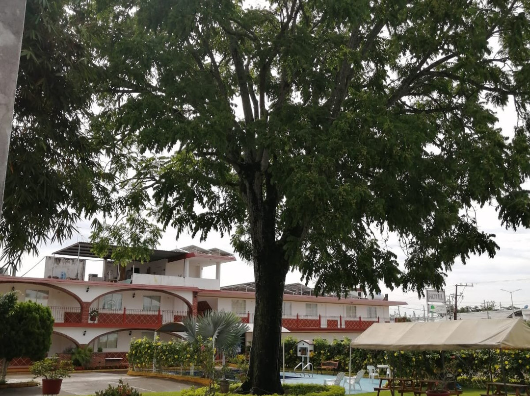 Hotel Los Cedros主图