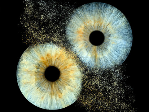 Iris Galerie Breda-布雷达必去景点