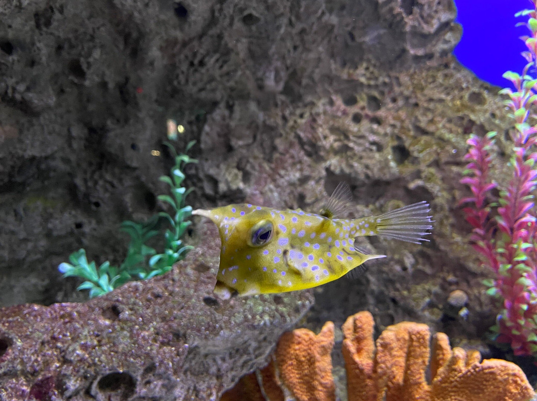 Wildlife World Zoo and Aquarium-Litchfield Park必去景点