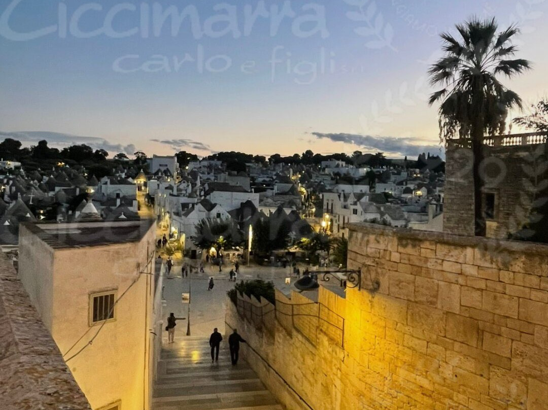 Tour tra le due Terre- Puglia e Basilicata-Cisternino必去景点