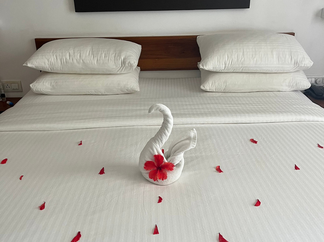 潘达努斯海滩水疗度假村主图