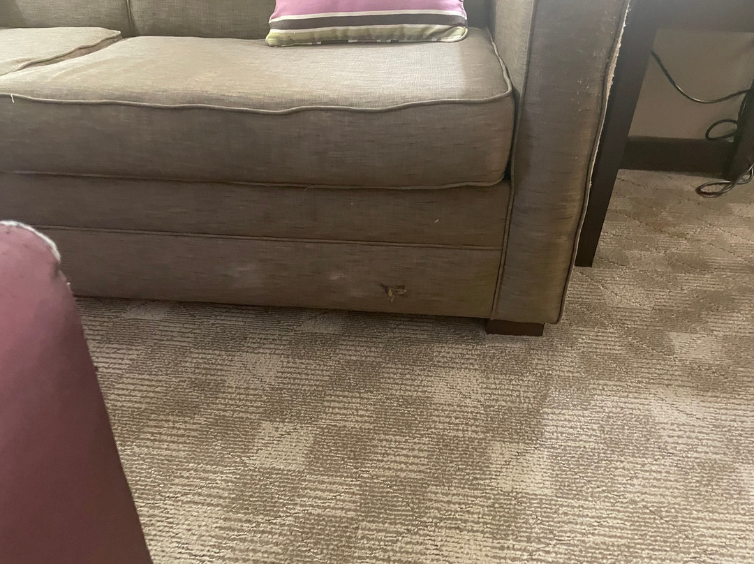 希尔顿欢朋套房酒店-密苏里城主图