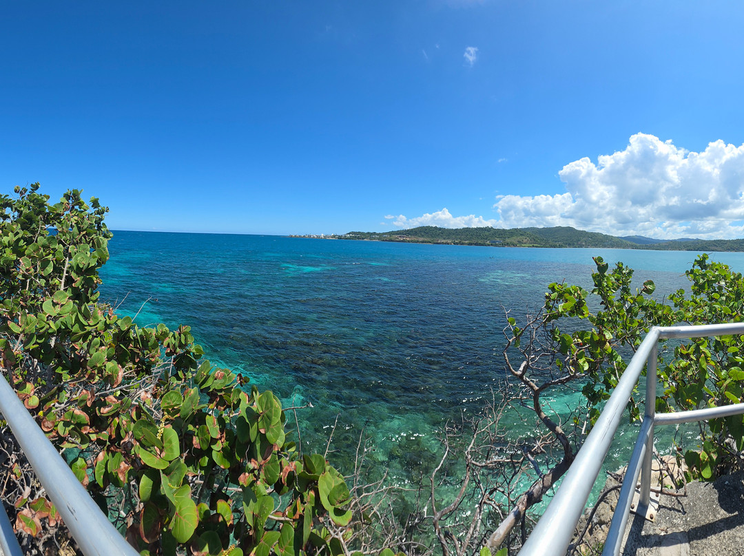 Liberty Tours Jamaica - Day Tours-蒙特戈贝必去景点