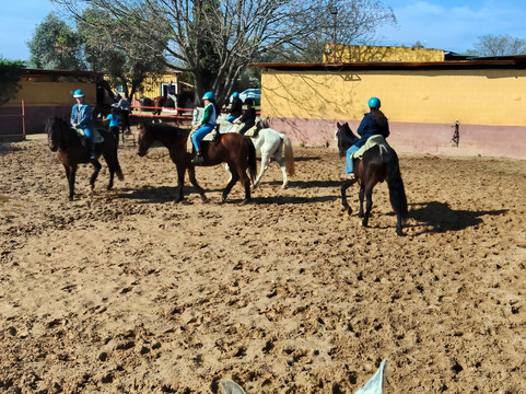 Centro Ecuestre Entrepinares-塞维利亚必去景点
