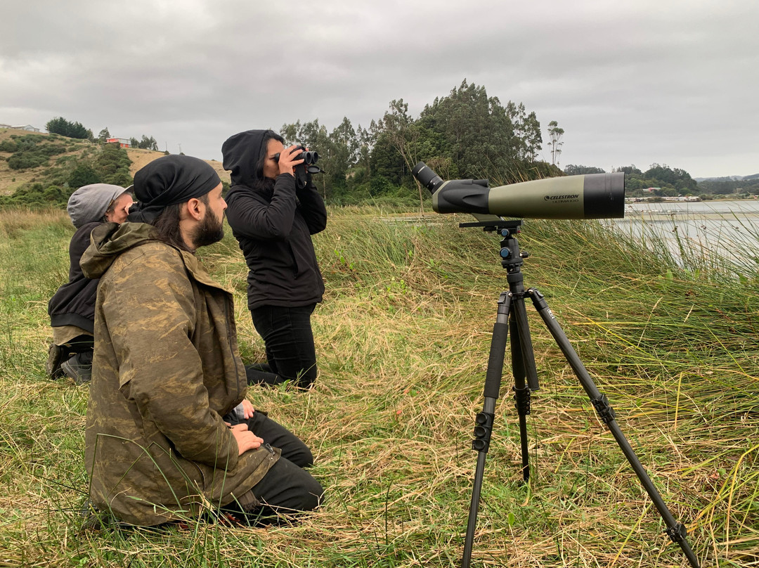 Eco-rutero-Puerto Saavedra必去景点