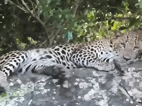 Freedom Safari Jeep Tours-蒂瑟默哈拉默必去景点