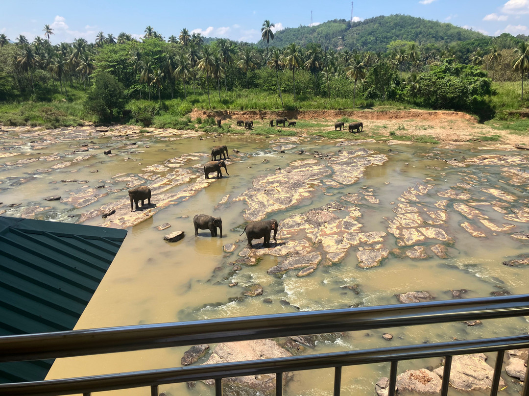 大象公园酒店主图