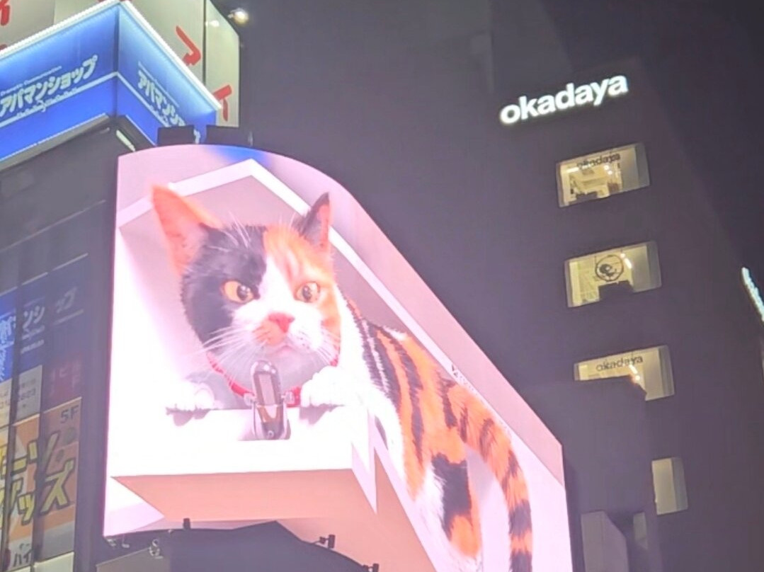 Giant 3d Cat Display Billboard-Shinjuku 3 Chome必去景点