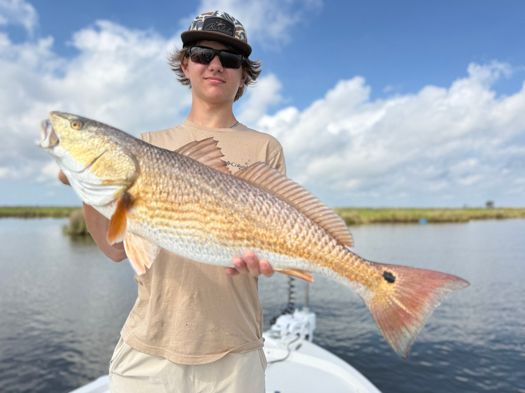 Bayou Charters-Saint Bernard必去景点