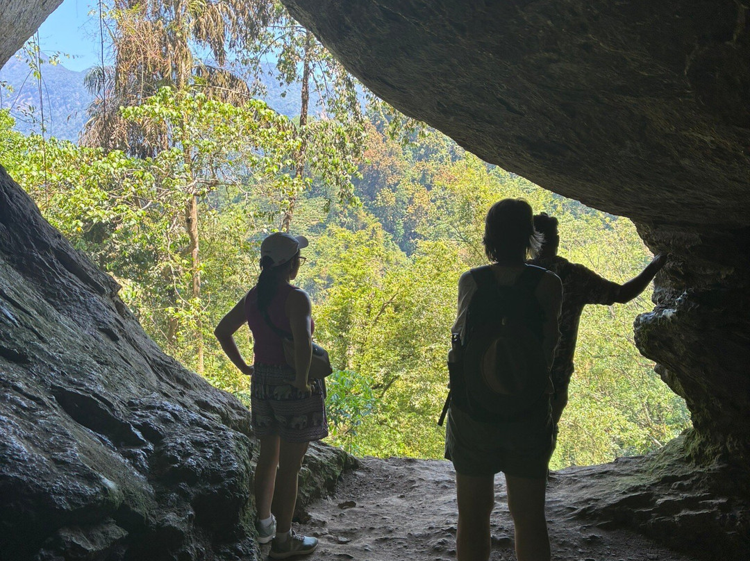 基图尔加拉雨林精品摩克沙主图