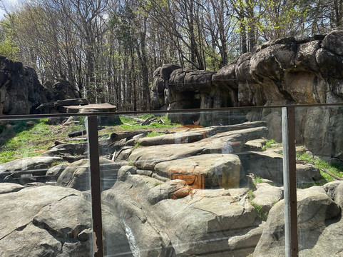 North Carolina Zoo-Asheboro必去景点