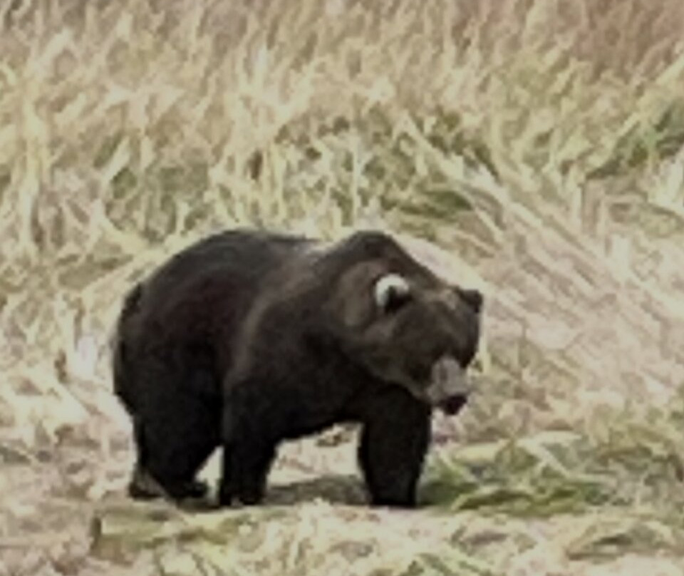 Kodiak Salmon Riders-Kodiak必去景点