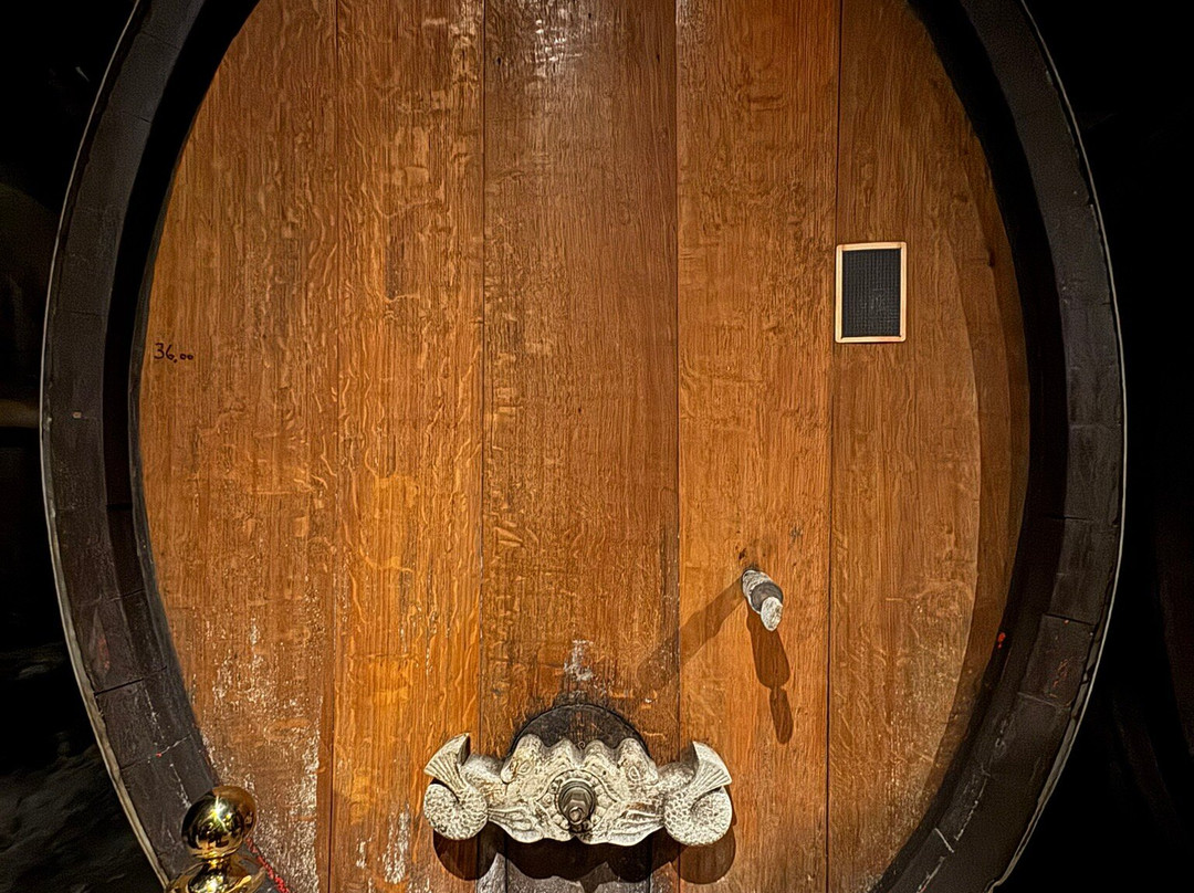 Domaine Albert Seltz-米特贝汉必去景点