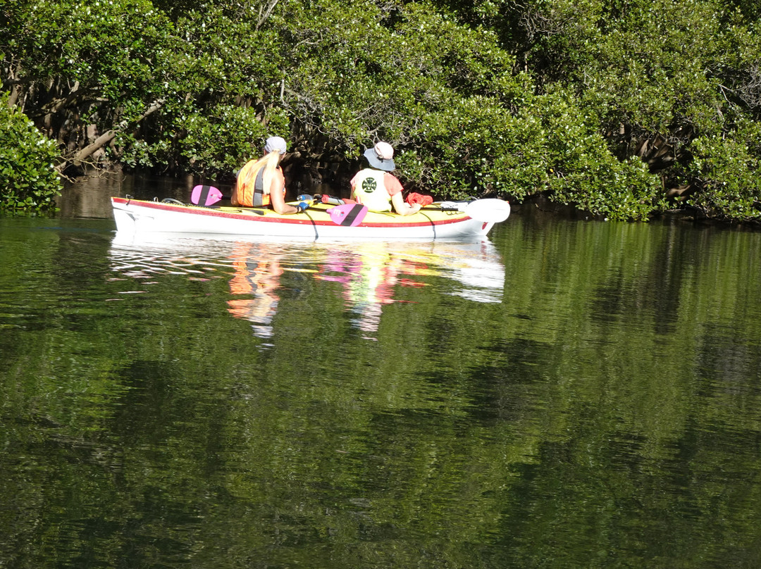Sydney Harbour Kayaks-莫斯曼必去景点