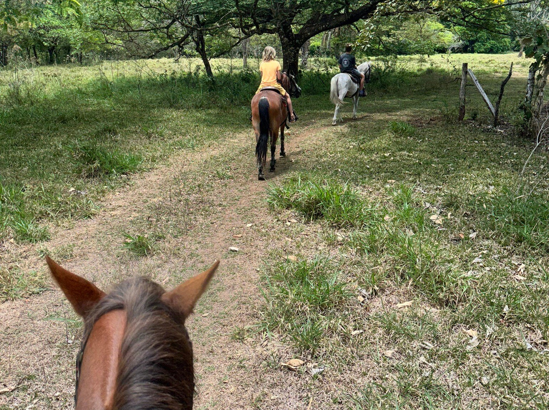 Franklin's Horseback Riding-波魁特必去景点