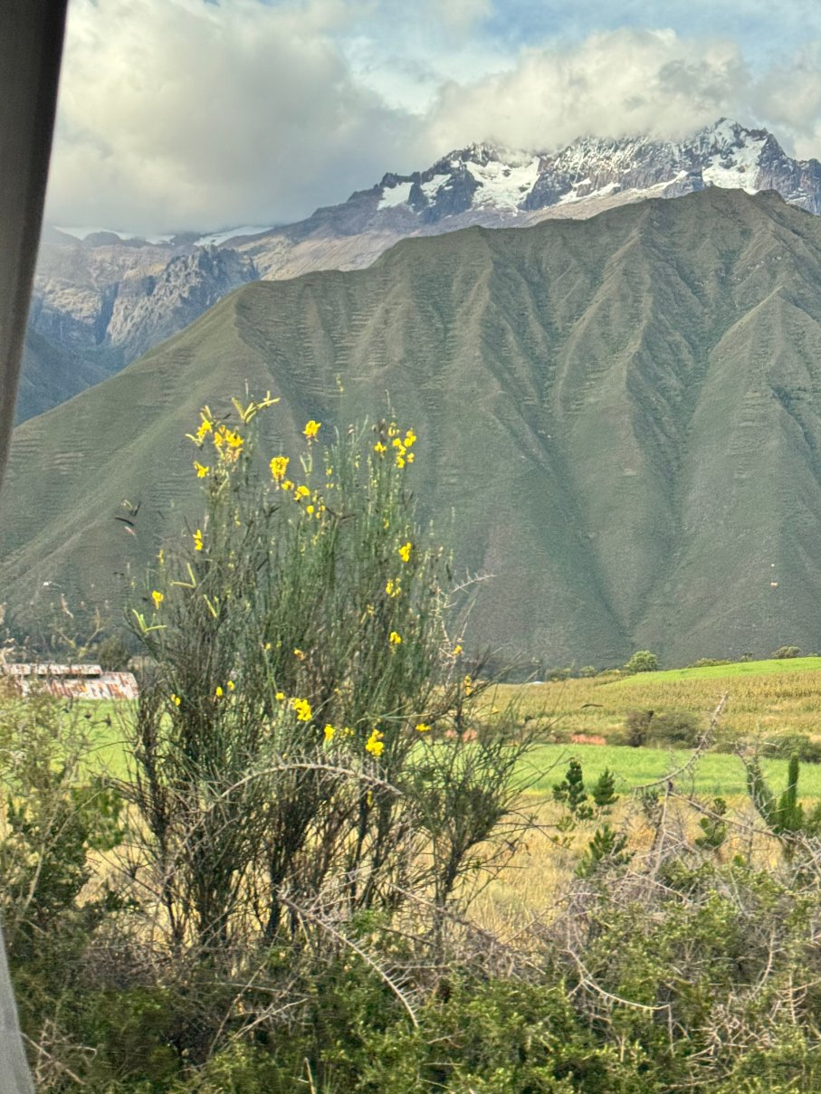 维卡提卡基本养生酒店-官方