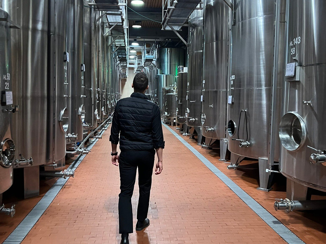 Cantine Ferrari F.lli Lunelli-特伦托必去景点