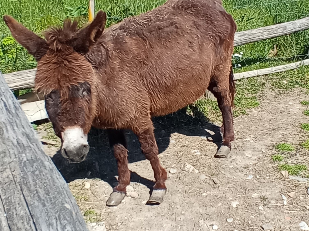 Agriturismo la Cavallina主图