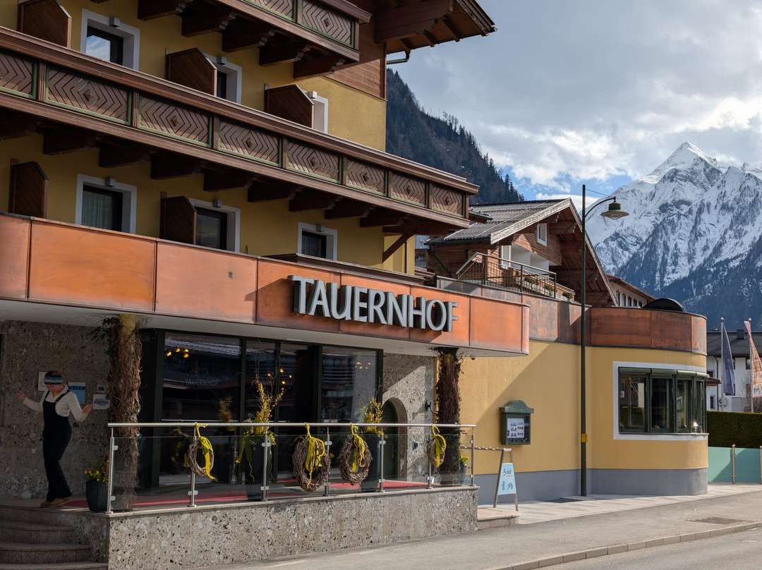 陶恩霍夫酒店主图