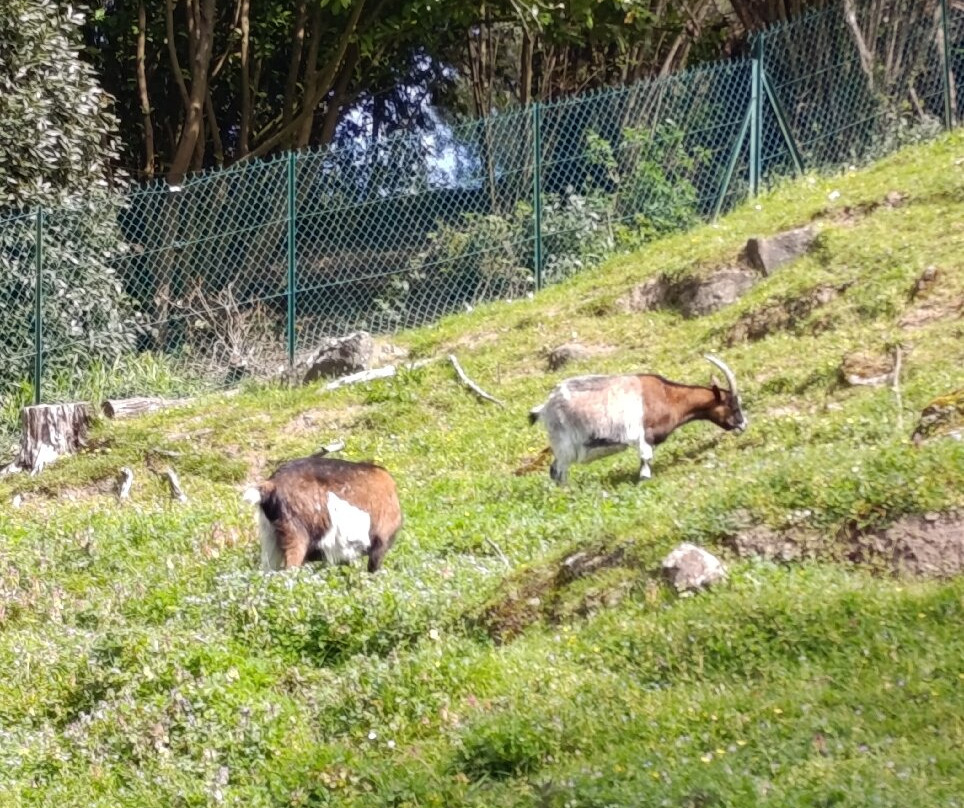 Parc de Port Breton-迪纳尔必去景点