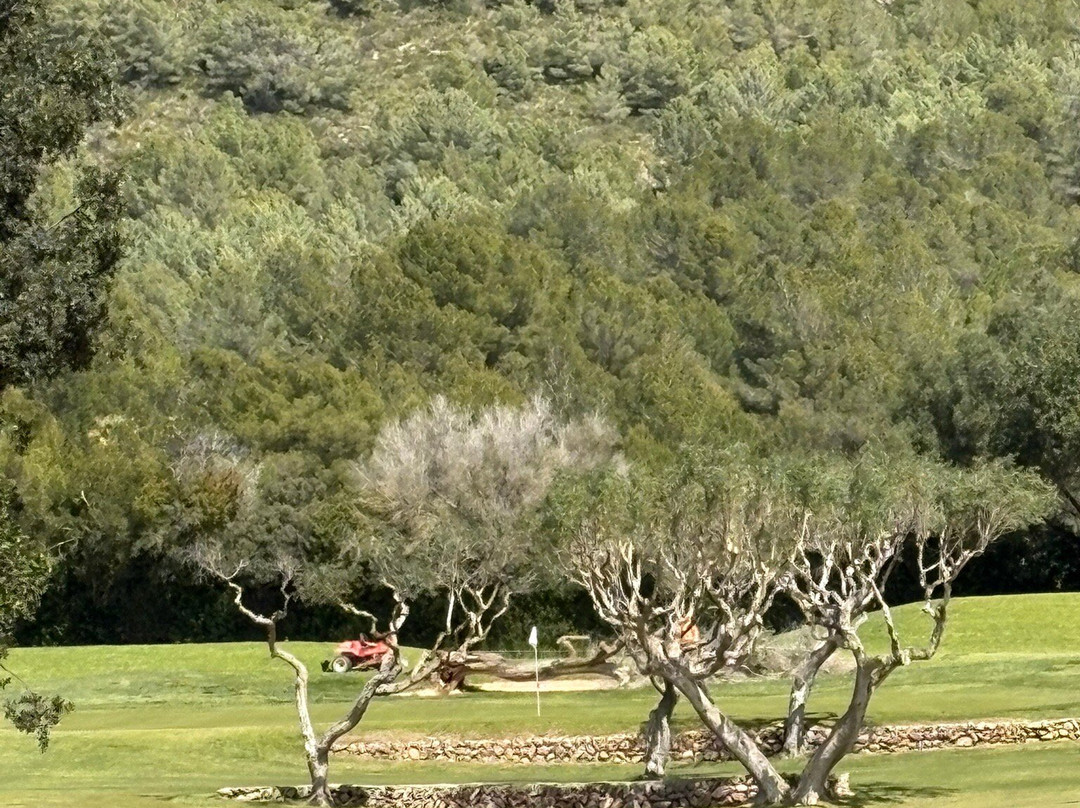 Canyamel Golf-卡普德佩拉必去景点