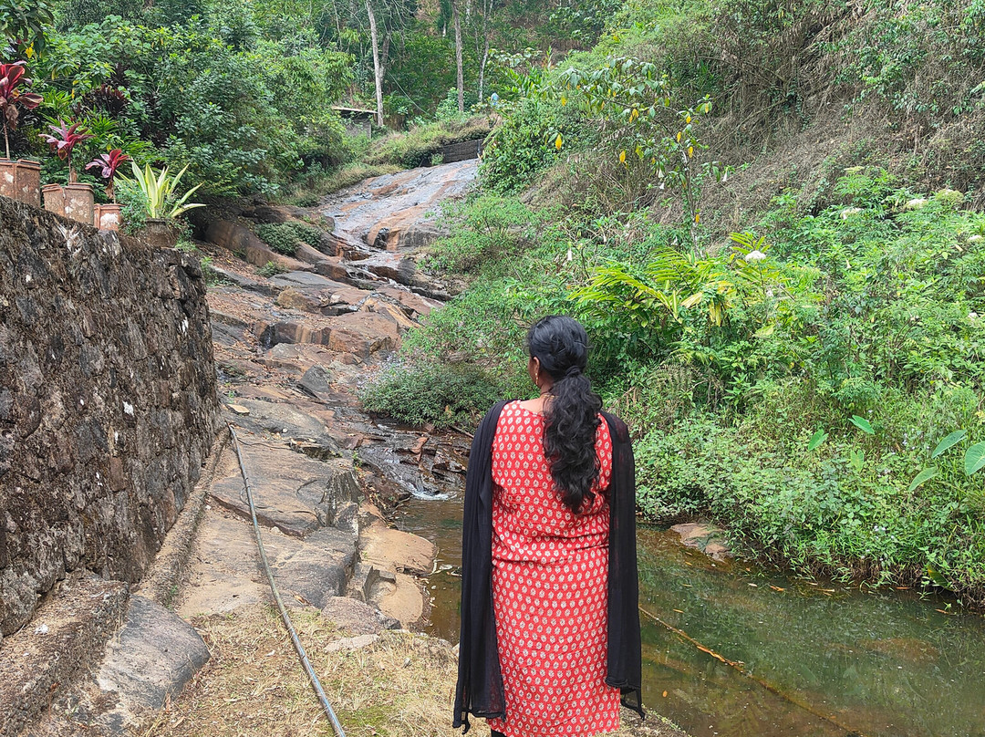落水度假村主图