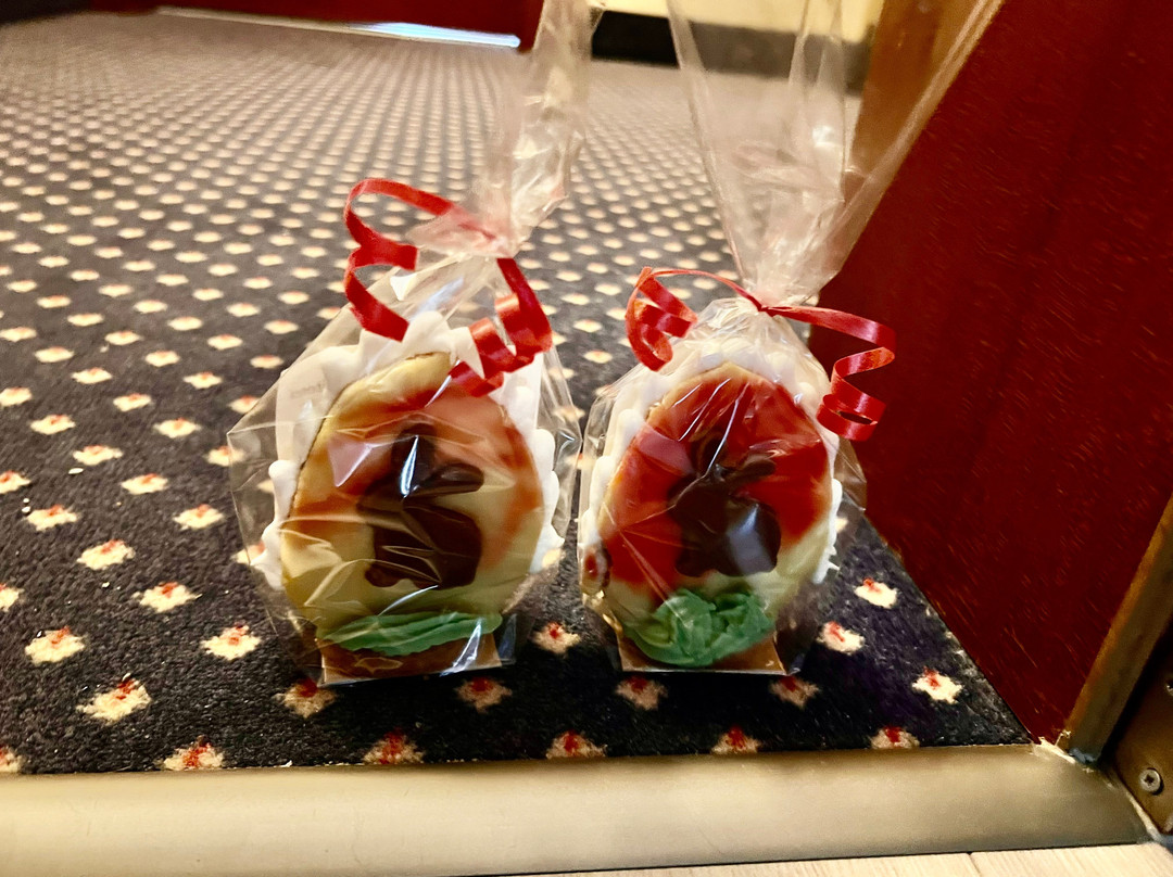 宾茨大酒店主图