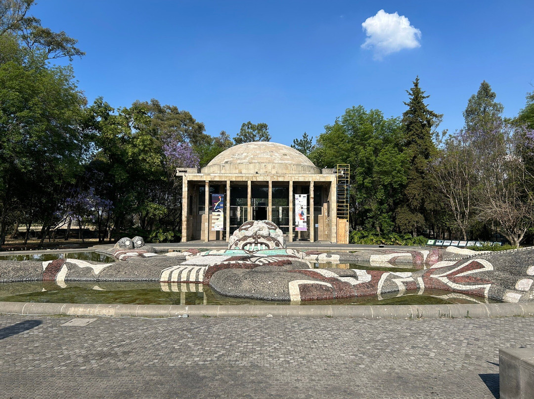 Museo del Carcamo de Dolores-墨西哥城必去景点