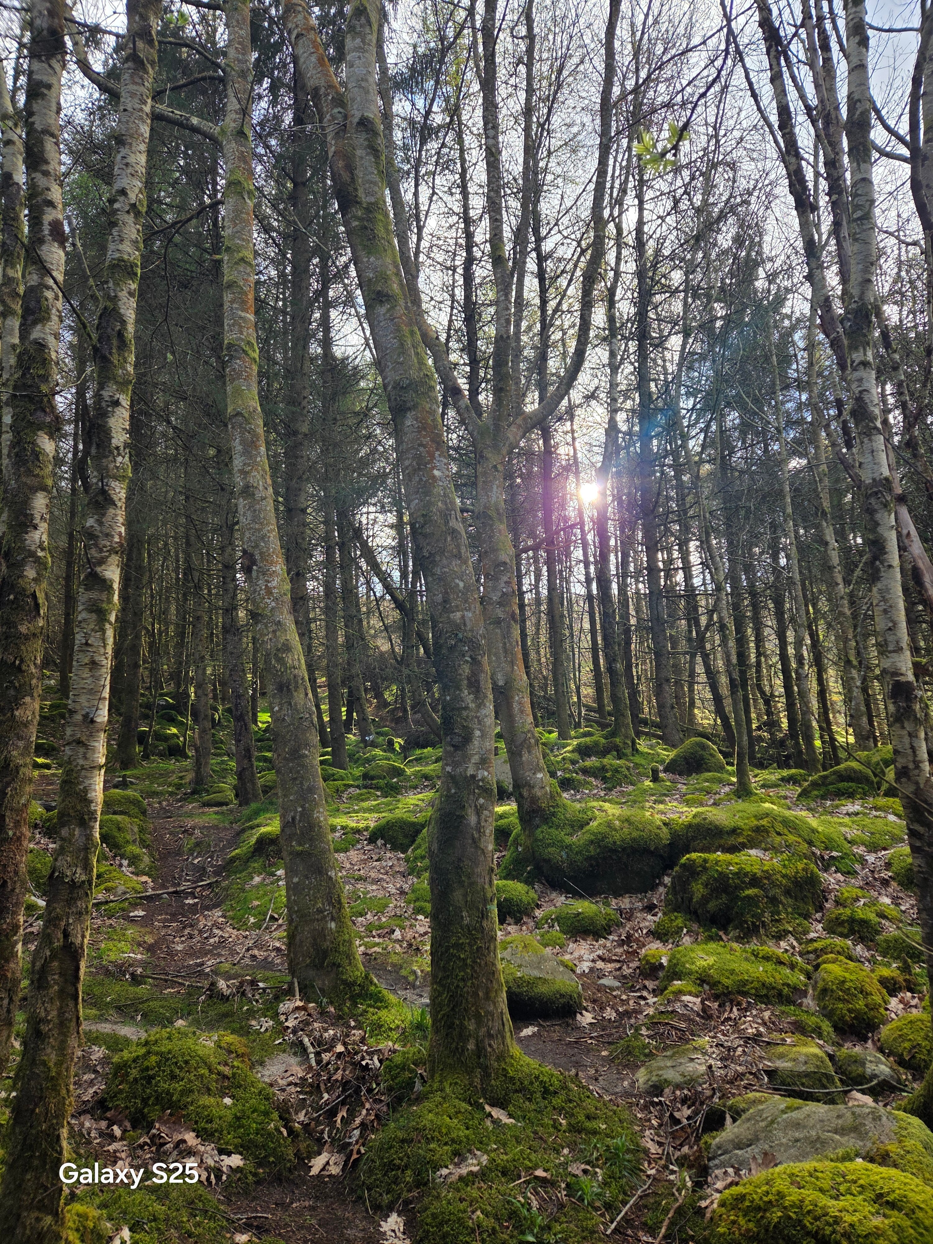 Glenmalure Lodge-官方