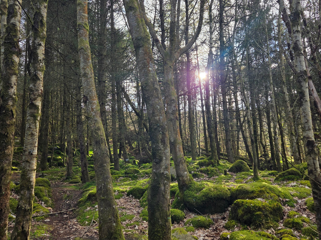 Glenmalure Lodge主图
