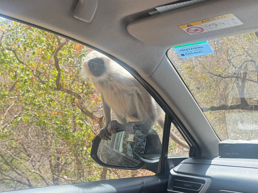 Active India Holidays-新德里必去景点