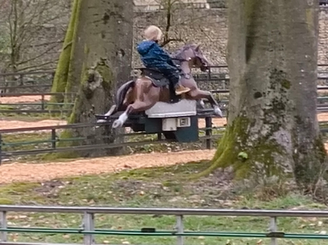 Freizeitpark Ketteler Hof-Haltern am See必去景点