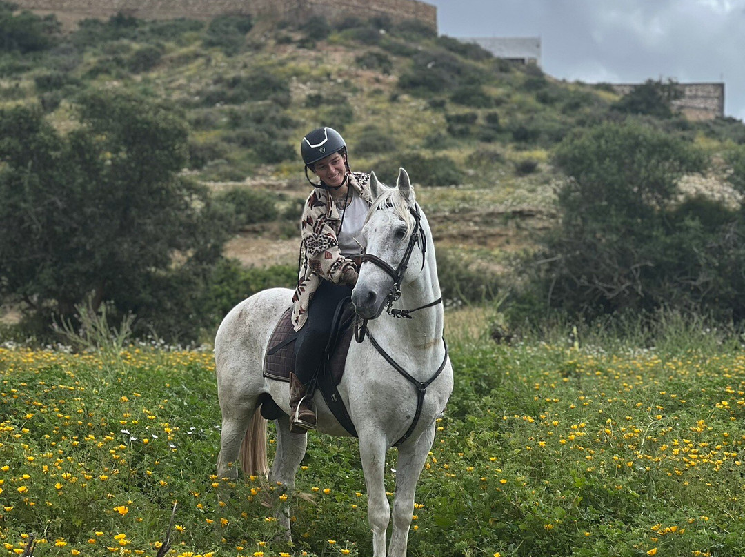 Essaouira Dreamers-索维拉必去景点