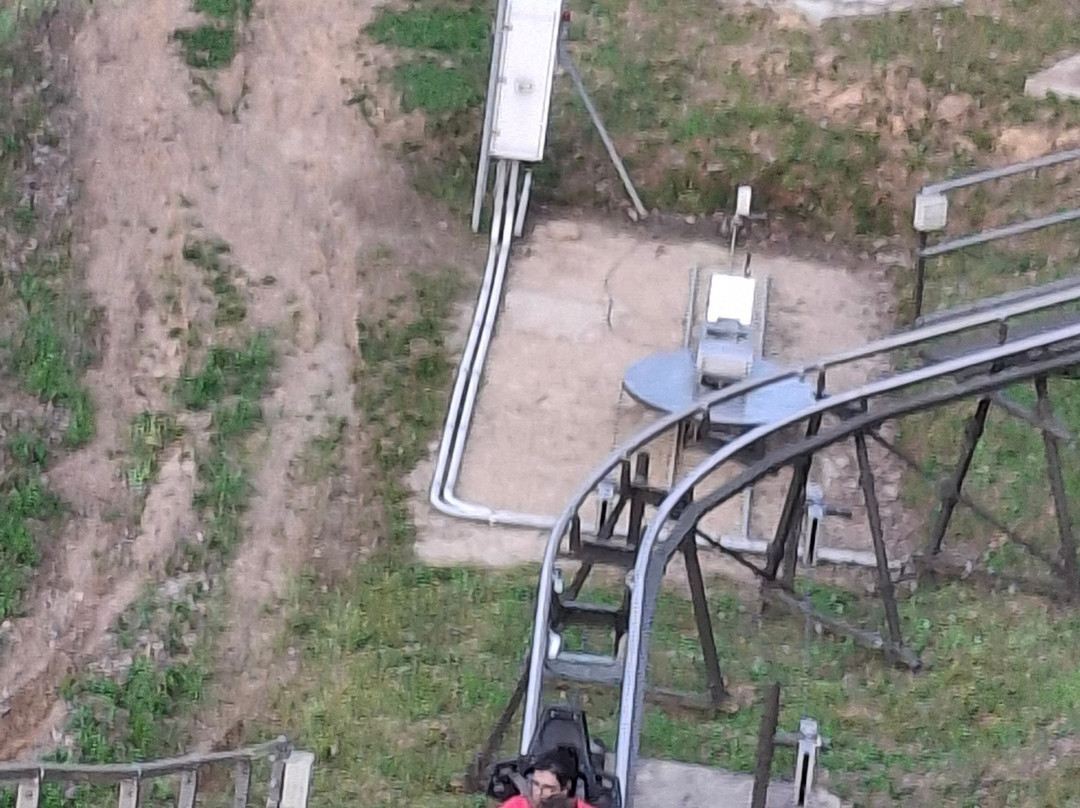 Smoky Mountain Alpine Coaster-皮金福奇必去景点