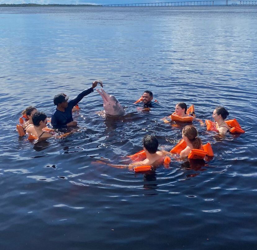 Amazon Explorers -  Manaus Day Tours-玛瑙斯必去景点