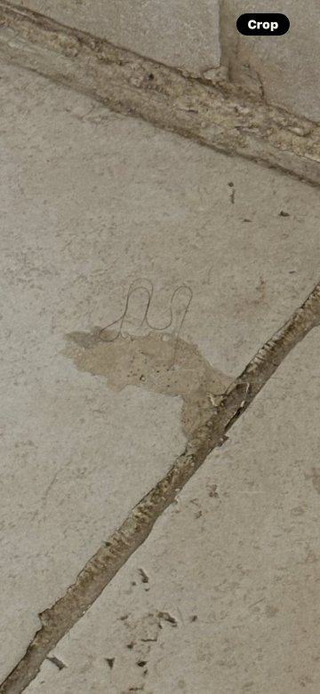 普恩特皇家酒店-浴室