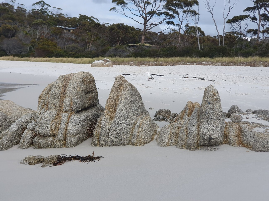 Jeanneret Beach-Binalong Bay必去景点