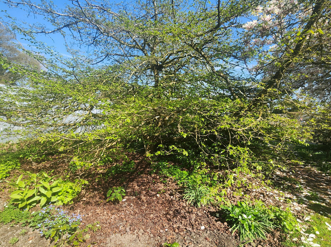 West Acre Gardens-West Acre必去景点