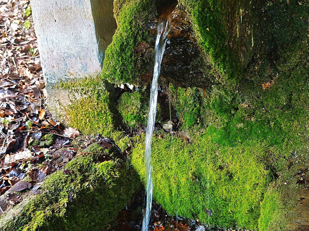 Histoire du lavoir du Pissot-Montval-sur-Loir必去景点