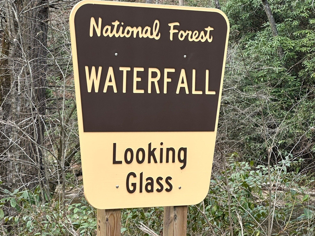 Looking Glass Falls-Pisgah Forest必去景点