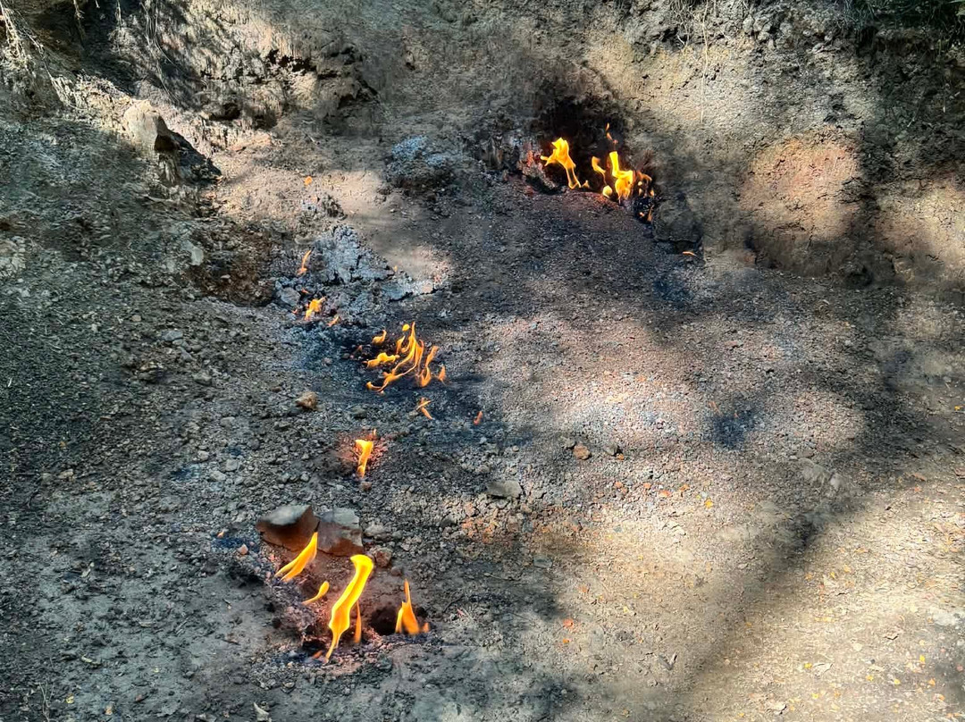 The Natural Flames Experience - Day Tours-Murchison必去景点