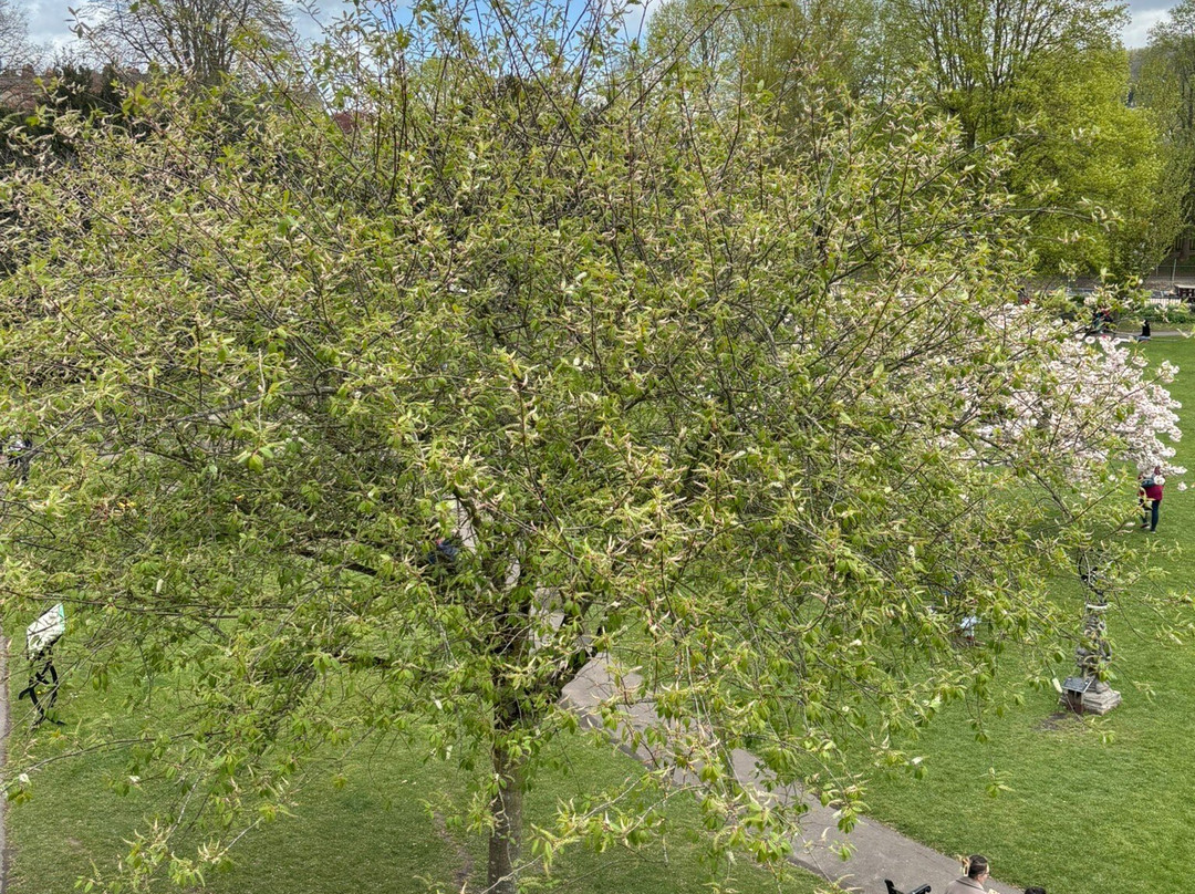 Parade Gardens-巴斯必去景点