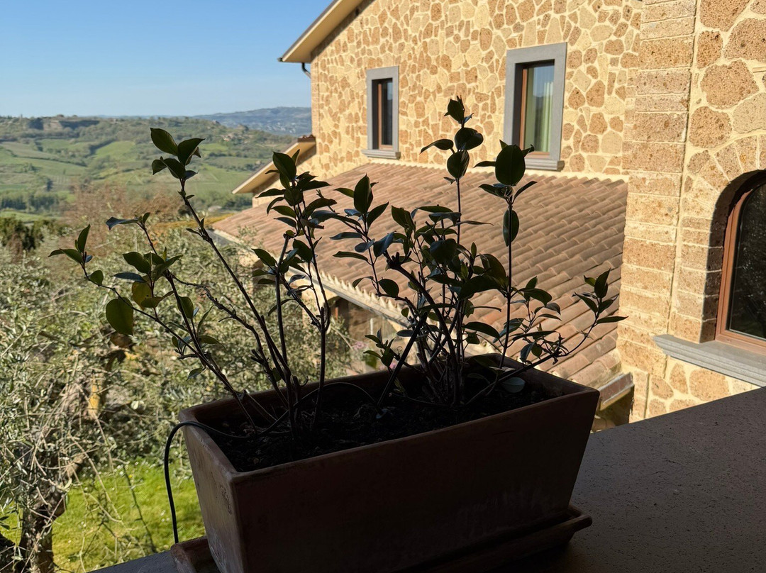 阿尔塔洛卡葡萄酒度假村主图